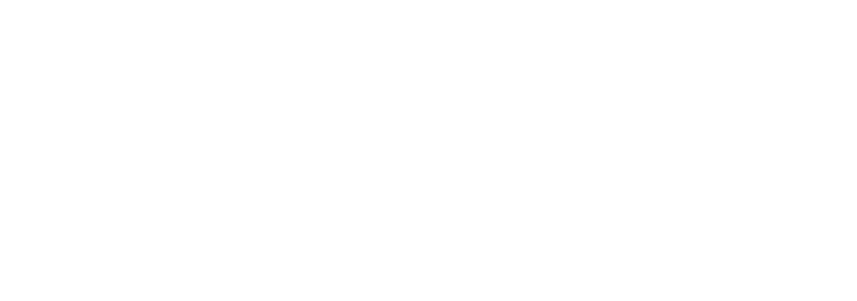 Netherix Studios